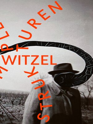 cover image of Komplexe Strukturen